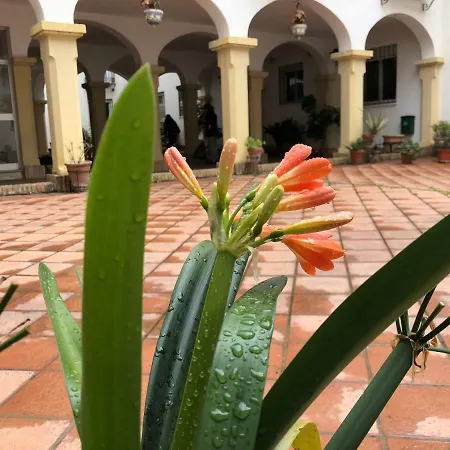Casa De Espejos Apartman